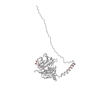 4303_6sc2_D_v1-1
Structure of the dynein-2 complex; IFT-train bound model
