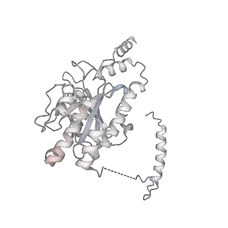 4303_6sc2_E_v1-1
Structure of the dynein-2 complex; IFT-train bound model