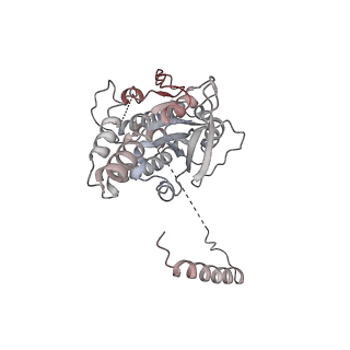 4303_6sc2_F_v1-1
Structure of the dynein-2 complex; IFT-train bound model