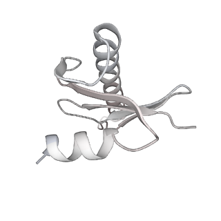 4303_6sc2_G_v1-1
Structure of the dynein-2 complex; IFT-train bound model