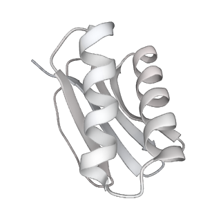 4303_6sc2_I_v1-1
Structure of the dynein-2 complex; IFT-train bound model