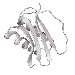 4303_6sc2_J_v1-1
Structure of the dynein-2 complex; IFT-train bound model
