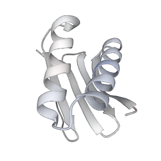 4303_6sc2_K_v1-1
Structure of the dynein-2 complex; IFT-train bound model