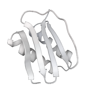4303_6sc2_L_v1-1
Structure of the dynein-2 complex; IFT-train bound model