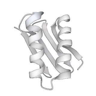 4303_6sc2_M_v1-1
Structure of the dynein-2 complex; IFT-train bound model