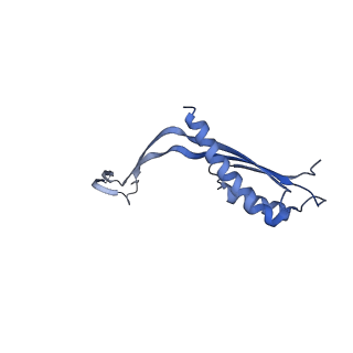 10145_6sd1_B_v1-1
Structure of the RBM3/collar region of the Salmonella flagella MS-ring protein FliF with 33-fold symmetry applied