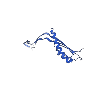10145_6sd1_C_v1-1
Structure of the RBM3/collar region of the Salmonella flagella MS-ring protein FliF with 33-fold symmetry applied