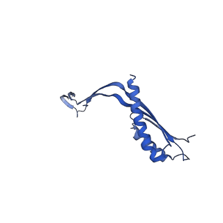 10145_6sd1_D_v1-1
Structure of the RBM3/collar region of the Salmonella flagella MS-ring protein FliF with 33-fold symmetry applied