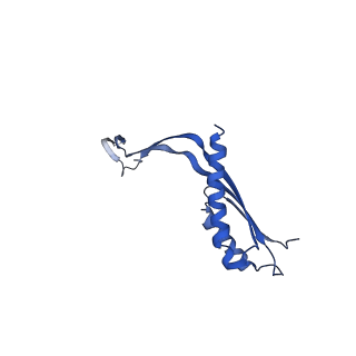 10145_6sd1_E_v1-1
Structure of the RBM3/collar region of the Salmonella flagella MS-ring protein FliF with 33-fold symmetry applied