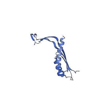 10145_6sd1_F_v1-1
Structure of the RBM3/collar region of the Salmonella flagella MS-ring protein FliF with 33-fold symmetry applied