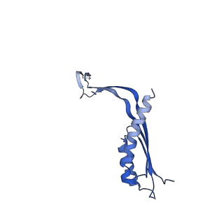 10145_6sd1_G_v1-1
Structure of the RBM3/collar region of the Salmonella flagella MS-ring protein FliF with 33-fold symmetry applied