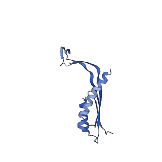 10145_6sd1_H_v1-1
Structure of the RBM3/collar region of the Salmonella flagella MS-ring protein FliF with 33-fold symmetry applied