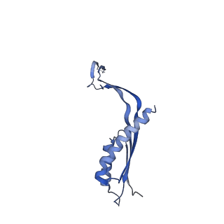 10145_6sd1_I_v1-1
Structure of the RBM3/collar region of the Salmonella flagella MS-ring protein FliF with 33-fold symmetry applied