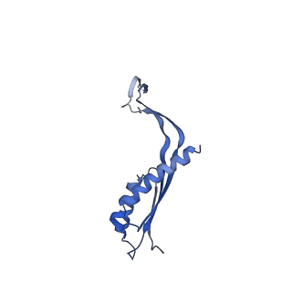 10145_6sd1_J_v1-1
Structure of the RBM3/collar region of the Salmonella flagella MS-ring protein FliF with 33-fold symmetry applied