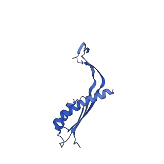 10145_6sd1_K_v1-1
Structure of the RBM3/collar region of the Salmonella flagella MS-ring protein FliF with 33-fold symmetry applied