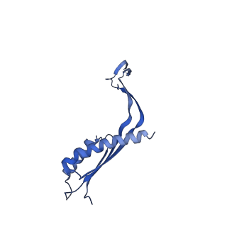 10145_6sd1_L_v1-1
Structure of the RBM3/collar region of the Salmonella flagella MS-ring protein FliF with 33-fold symmetry applied