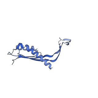 10145_6sd1_Q_v1-1
Structure of the RBM3/collar region of the Salmonella flagella MS-ring protein FliF with 33-fold symmetry applied