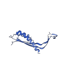 10145_6sd1_R_v1-1
Structure of the RBM3/collar region of the Salmonella flagella MS-ring protein FliF with 33-fold symmetry applied