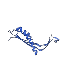 10145_6sd1_S_v1-1
Structure of the RBM3/collar region of the Salmonella flagella MS-ring protein FliF with 33-fold symmetry applied