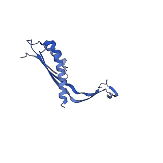 10145_6sd1_U_v1-1
Structure of the RBM3/collar region of the Salmonella flagella MS-ring protein FliF with 33-fold symmetry applied