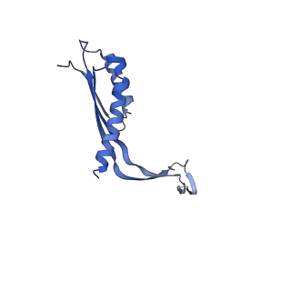 10145_6sd1_W_v1-1
Structure of the RBM3/collar region of the Salmonella flagella MS-ring protein FliF with 33-fold symmetry applied