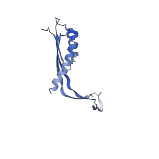 10145_6sd1_X_v1-1
Structure of the RBM3/collar region of the Salmonella flagella MS-ring protein FliF with 33-fold symmetry applied
