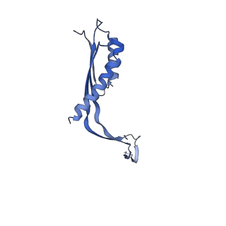 10145_6sd1_Y_v1-1
Structure of the RBM3/collar region of the Salmonella flagella MS-ring protein FliF with 33-fold symmetry applied