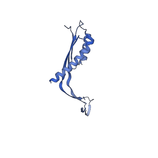 10145_6sd1_Z_v1-1
Structure of the RBM3/collar region of the Salmonella flagella MS-ring protein FliF with 33-fold symmetry applied