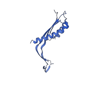 10145_6sd1_b_v1-1
Structure of the RBM3/collar region of the Salmonella flagella MS-ring protein FliF with 33-fold symmetry applied