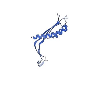 10145_6sd1_c_v1-1
Structure of the RBM3/collar region of the Salmonella flagella MS-ring protein FliF with 33-fold symmetry applied