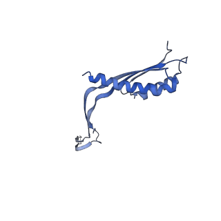 10145_6sd1_e_v1-1
Structure of the RBM3/collar region of the Salmonella flagella MS-ring protein FliF with 33-fold symmetry applied