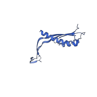 10145_6sd1_f_v1-1
Structure of the RBM3/collar region of the Salmonella flagella MS-ring protein FliF with 33-fold symmetry applied