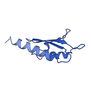 10146_6sd2_A_v1-1
Structure of the RBM2inner region of the Salmonella flagella MS-ring protein FliF with 21-fold symmetry applied.