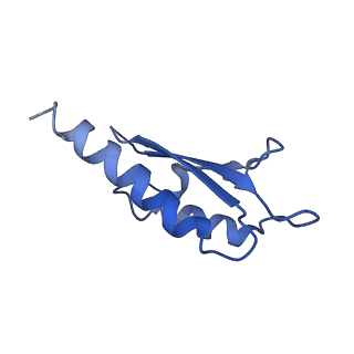 10146_6sd2_C_v1-1
Structure of the RBM2inner region of the Salmonella flagella MS-ring protein FliF with 21-fold symmetry applied.