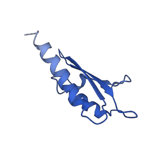 10146_6sd2_D_v1-1
Structure of the RBM2inner region of the Salmonella flagella MS-ring protein FliF with 21-fold symmetry applied.