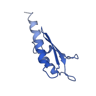 10146_6sd2_F_v1-1
Structure of the RBM2inner region of the Salmonella flagella MS-ring protein FliF with 21-fold symmetry applied.
