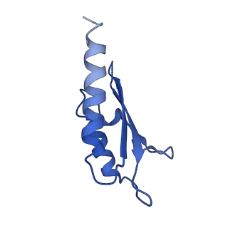 10146_6sd2_G_v1-1
Structure of the RBM2inner region of the Salmonella flagella MS-ring protein FliF with 21-fold symmetry applied.
