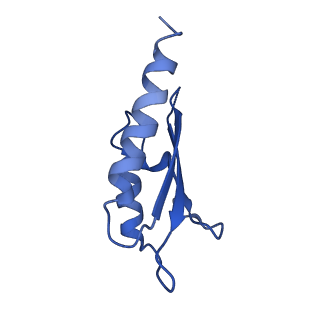 10146_6sd2_I_v1-1
Structure of the RBM2inner region of the Salmonella flagella MS-ring protein FliF with 21-fold symmetry applied.