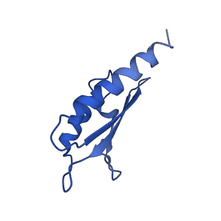 10146_6sd2_L_v1-1
Structure of the RBM2inner region of the Salmonella flagella MS-ring protein FliF with 21-fold symmetry applied.