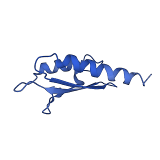 10146_6sd2_Q_v1-1
Structure of the RBM2inner region of the Salmonella flagella MS-ring protein FliF with 21-fold symmetry applied.