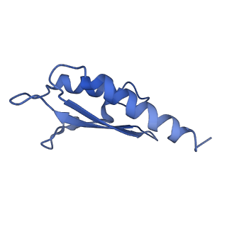 10146_6sd2_R_v1-1
Structure of the RBM2inner region of the Salmonella flagella MS-ring protein FliF with 21-fold symmetry applied.