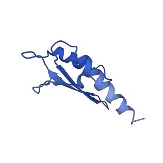 10146_6sd2_T_v1-1
Structure of the RBM2inner region of the Salmonella flagella MS-ring protein FliF with 21-fold symmetry applied.