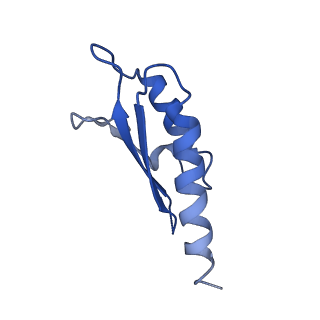 10146_6sd2_W_v1-1
Structure of the RBM2inner region of the Salmonella flagella MS-ring protein FliF with 21-fold symmetry applied.
