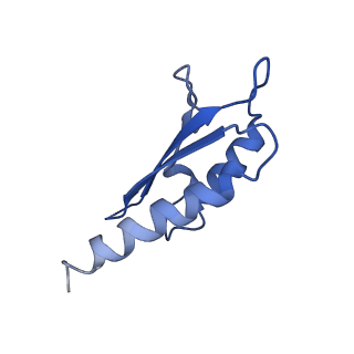 10146_6sd2_c_v1-1
Structure of the RBM2inner region of the Salmonella flagella MS-ring protein FliF with 21-fold symmetry applied.