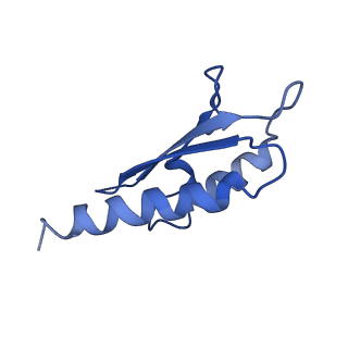 10146_6sd2_e_v1-1
Structure of the RBM2inner region of the Salmonella flagella MS-ring protein FliF with 21-fold symmetry applied.
