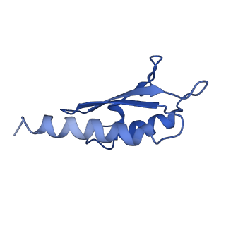10146_6sd2_f_v1-1
Structure of the RBM2inner region of the Salmonella flagella MS-ring protein FliF with 21-fold symmetry applied.