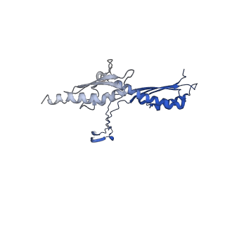 10147_6sd3_A_v1-1
34mer structure of the Salmonella flagella MS-ring protein FliF