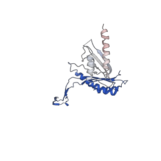 10147_6sd3_B_v1-1
34mer structure of the Salmonella flagella MS-ring protein FliF