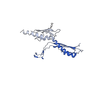 10147_6sd3_C_v1-1
34mer structure of the Salmonella flagella MS-ring protein FliF