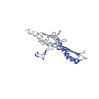 10147_6sd3_D_v1-1
34mer structure of the Salmonella flagella MS-ring protein FliF